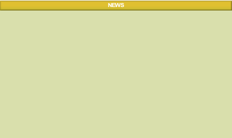 wp5a953384.png